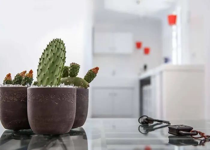 Almyra Παράγκα